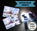Zestaw Polar Animals + karty pracy w pliku PDF