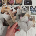 Party Animals - karty maski ze zwierzakami