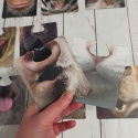 Party Animals - karty maski ze zwierzakami
