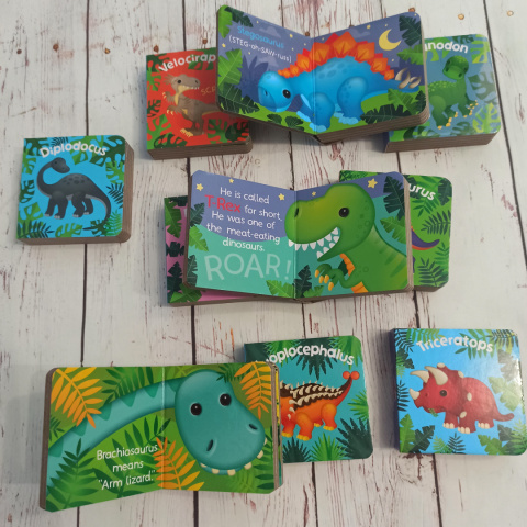 Książeczki Dinosaurs po angielsku (9 tytułów do wyboru) Książeczki Dinosaurs po angielsku (9 tytułów do wyboru)