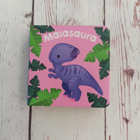 Książeczki Dinosaurs po angielsku (9 tytułów do wyboru) Książeczki Dinosaurs po angielsku (9 tytułów do wyboru)