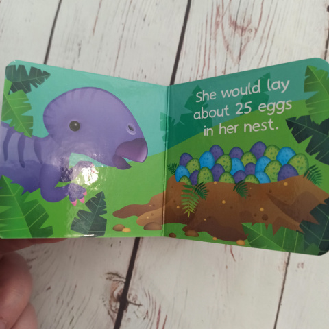 Książeczki Dinosaurs po angielsku (9 tytułów do wyboru) Książeczki Dinosaurs po angielsku (9 tytułów do wyboru)