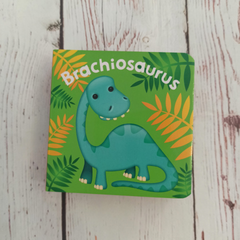 Książeczki Dinosaurs po angielsku (9 tytułów do wyboru) Książeczki Dinosaurs po angielsku (9 tytułów do wyboru)