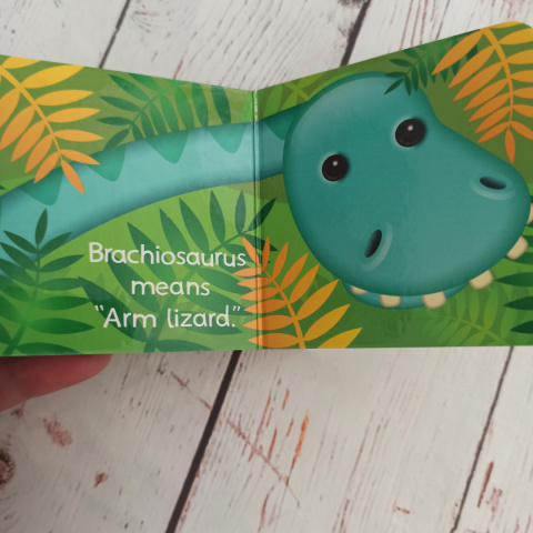 Książeczki Dinosaurs po angielsku (9 tytułów do wyboru) Książeczki Dinosaurs po angielsku (9 tytułów do wyboru)