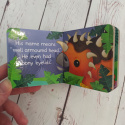 Książeczki Dinosaurs po angielsku (9 tytułów do wyboru)