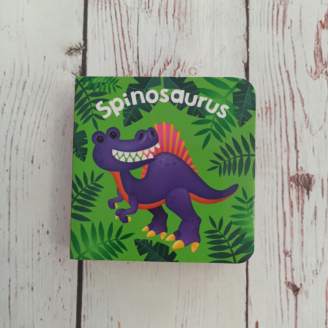 Książeczki Dinosaurs po angielsku (9 tytułów do wyboru) Książeczki Dinosaurs po angielsku (9 tytułów do wyboru)