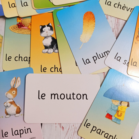 First French Flashcards