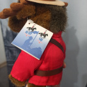 Kanadyjski Łoś - pluszowy w stroju strażnika