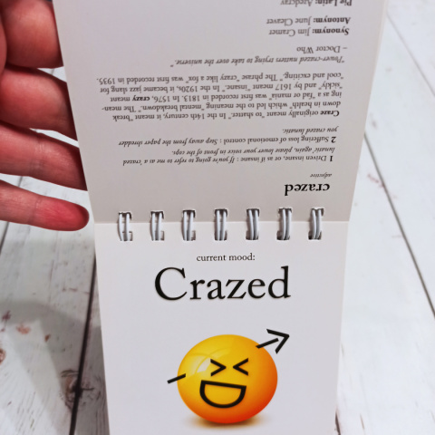 The Daily Mood - notes z emocjami The Daily Mood - notes z emocjami