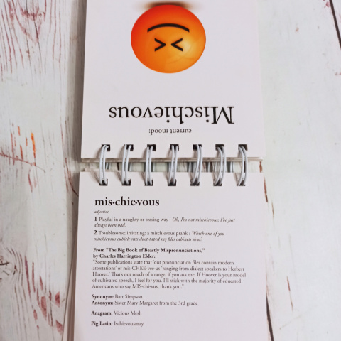 The Daily Mood - notes z emocjami The Daily Mood - notes z emocjami