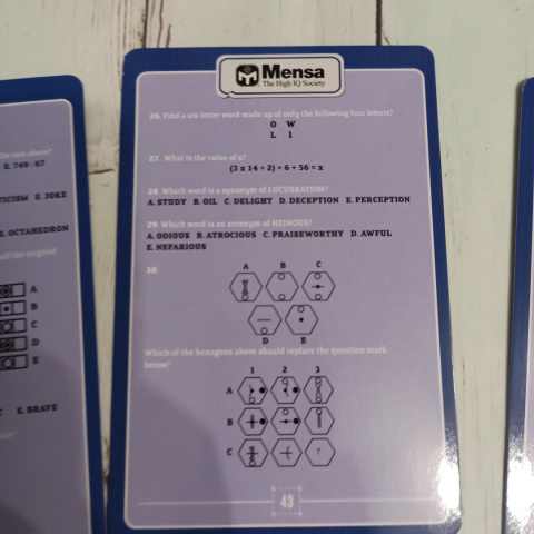 The IQ Challenge - zagadki po angielsku The IQ Challenge - zagadki po angielsku