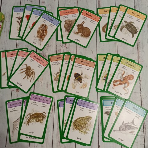 Gra Animal Families - grupy zwierząt ssaki, ptaki itd. Gra Animal Families - grupy zwierząt ssaki, ptaki itd.