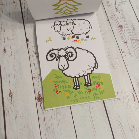 Colouring Book z kartami idealnymi do zalaminowania Colouring Book z kartami idealnymi do zalaminowania