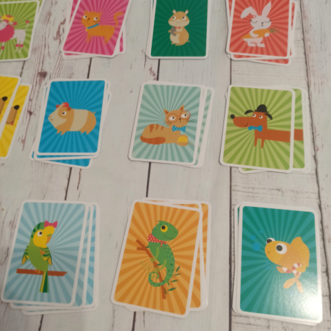 SNAP - PETS SNAP - PETS