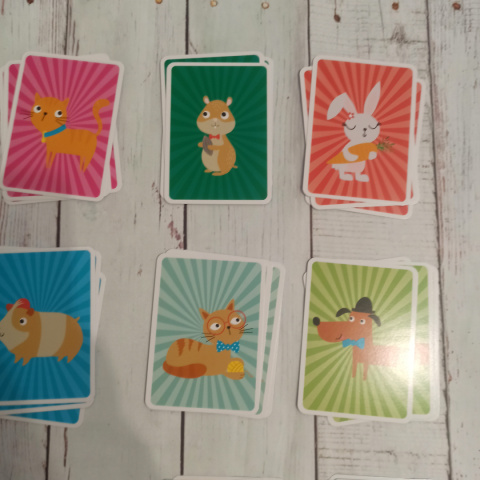 SNAP - PETS SNAP - PETS
