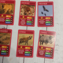 TOP TRUMPS - Safari Animals
