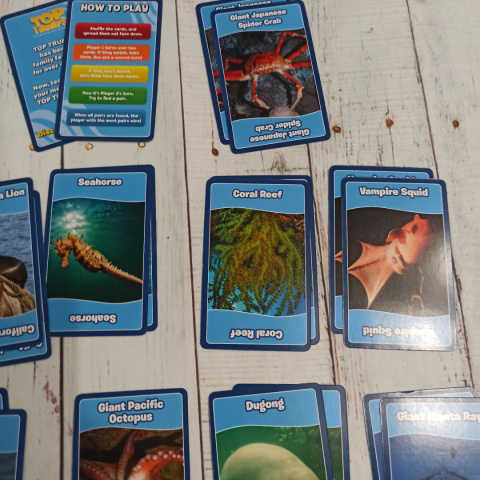 TOP TRUMPS - Sea Animals Pairs Memory