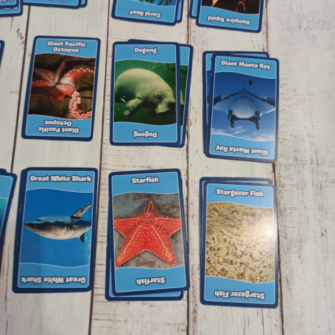 TOP TRUMPS - Sea Animals Pairs Memory