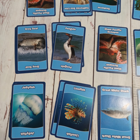 TOP TRUMPS - Sea Animals Pairs Memory