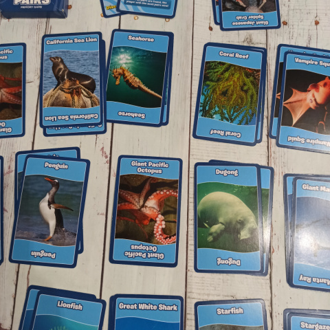 TOP TRUMPS - Sea Animals Pairs Memory