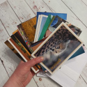 Zestaw 29 kartek ze zwierzakami i naturą + koperty