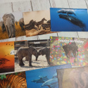 Zestaw 29 kartek ze zwierzakami i naturą + koperty