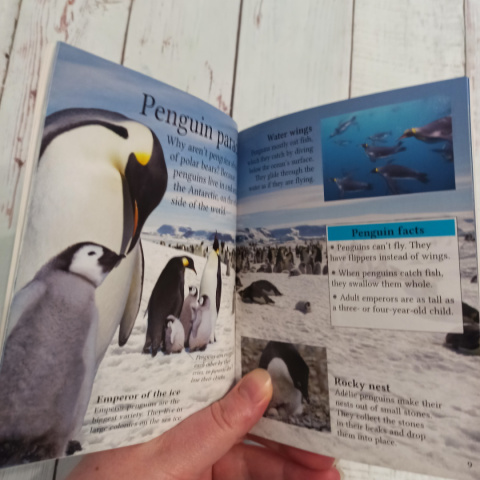 Arctic and Antarctic Arctic and Antarctic
