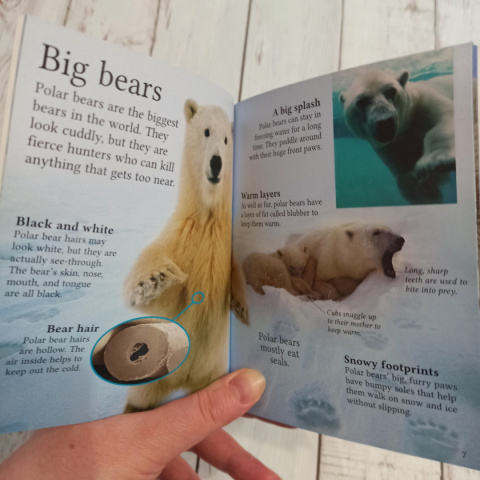 Arctic and Antarctic Arctic and Antarctic
