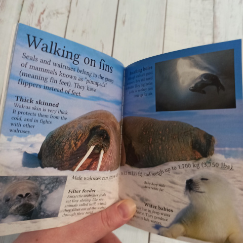 Arctic and Antarctic Arctic and Antarctic
