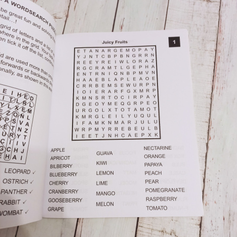 Wordsearch Large Print