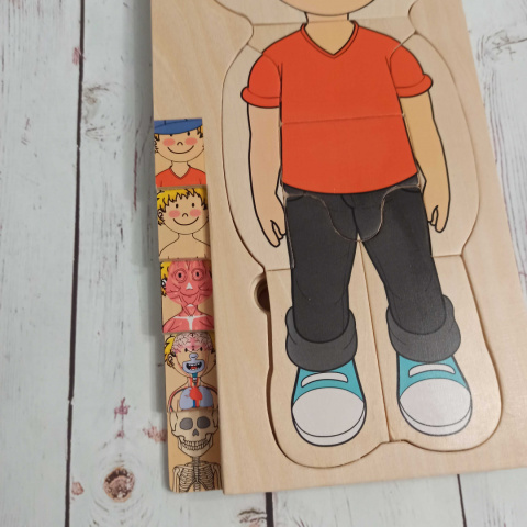 Drewniana układanka Chłopiec- części ciała, ubrania, mięśnie, organy wewnętrzne, szkielet Drewniana układanka Chłopiec- części ciała, ubrania, mięśnie, organy wewnętrzne, szkielet