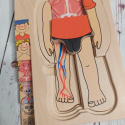 Drewniana układanka Chłopiec- części ciała, ubrania, mięśnie, organy wewnętrzne, szkielet