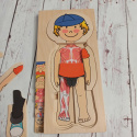 Drewniana układanka Chłopiec- części ciała, ubrania, mięśnie, organy wewnętrzne, szkielet