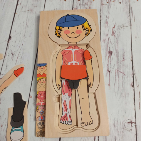 Drewniana układanka Chłopiec- części ciała, ubrania, mięśnie, organy wewnętrzne, szkielet Drewniana układanka Chłopiec- części ciała, ubrania, mięśnie, organy wewnętrzne, szkielet