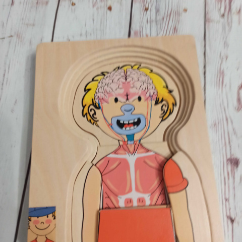 Drewniana układanka Chłopiec- części ciała, ubrania, mięśnie, organy wewnętrzne, szkielet Drewniana układanka Chłopiec- części ciała, ubrania, mięśnie, organy wewnętrzne, szkielet