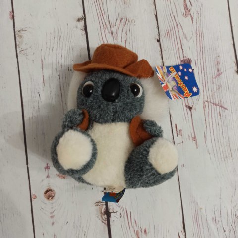 Maskotka Miś Koala z Australii Maskotka Miś Koala z Australii