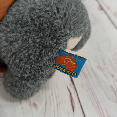 Maskotka Miś Koala z Australii Maskotka Miś Koala z Australii