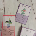 100 ways to become a better plant parent - karty z roślinami doniczkowymi po angielsku