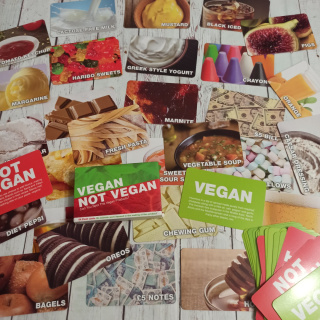 Vegan not Vegan Flashcards