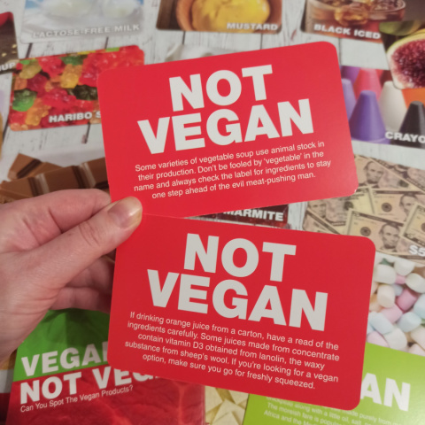 Vegan not Vegan Flashcards