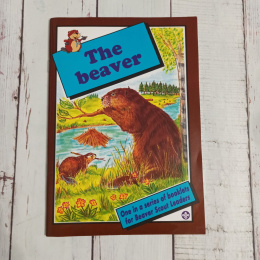 THE BEAVER - książka CLIL o bobrze + karty pracy