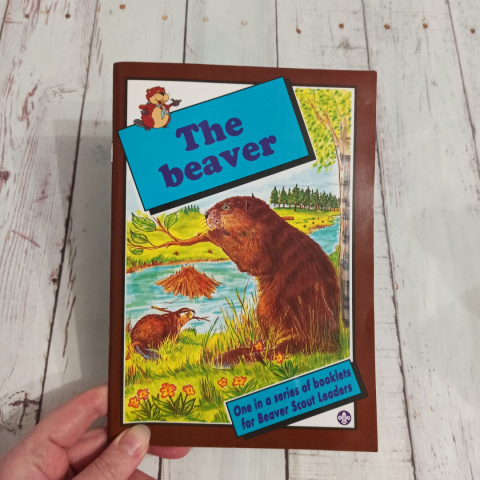 THE BEAVER - książka CLIL o bobrze + karty pracy