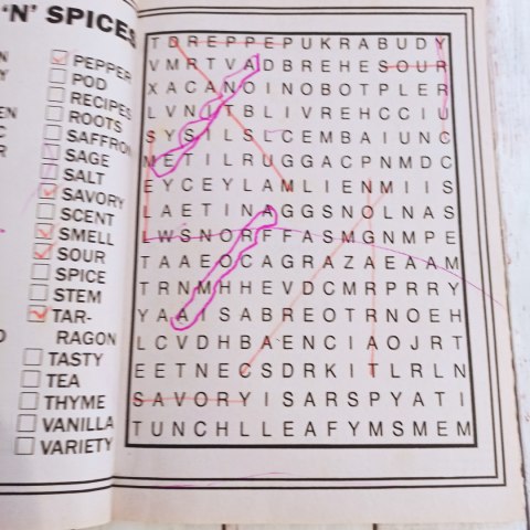 LARGE PRINT WORDSEARCH - wykreślanka z kategoriami słów