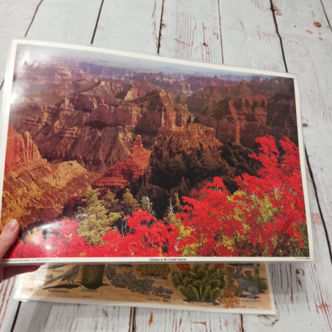 Dwustronna fotografia/mata Autumn in the Grand Canyon + roślinność i zwierzęta