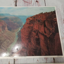 Dwustronna fotografia/mata Colorado River in the Grand Canyon + roślinność i zwierzęta