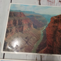 Dwustronna fotografia/mata Colorado River in the Grand Canyon + roślinność i zwierzęta