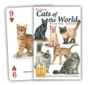 Karty Cats of the World - nowe