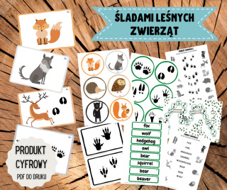 Śladami leśnych zwierząt - zestaw PDF po angielsku