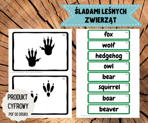 Śladami leśnych zwierząt - zestaw PDF po angielsku