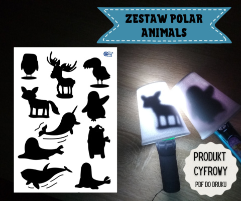 Zestaw Polar Animals + karty pracy w pliku PDF